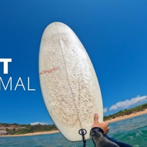POV SURFING 7FT MINI MAL! (IN 4K)