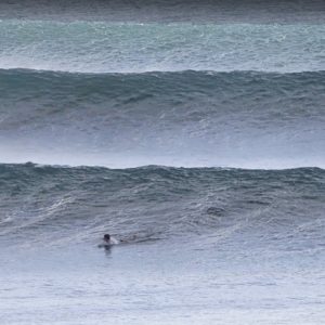 Solid Swell For The Regular Joes – The Bukit