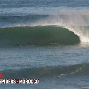 Spiders - Morocco - RAWFILES - 20/DEC/2022 4K