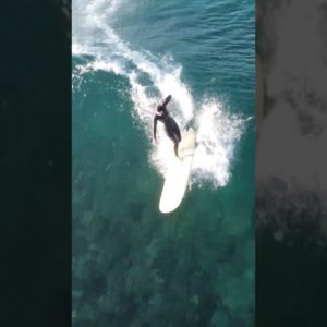 Surfing Drone Shot on a Walks on Water Pt 2