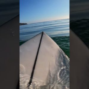 SURFING IN 0/MPH WINDS IS INSANE 🤯 (RAW POV)