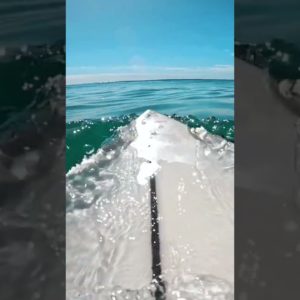 SURFING IN 1000% WATER CLARITY 💎😱