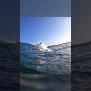 SURFING WIPEOUTS AT GNARLY SLAB!