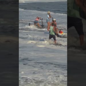 Freak Wave Sends Tourists Running for Safety! #shorts
