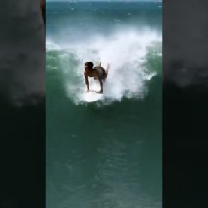 Mexico with Alex Knost | RAW DAYS #surfing #nobodysurf