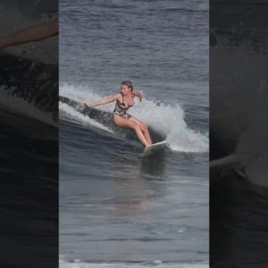 Georgie To The Beach  #surfingbali #surf #surfingindonesia