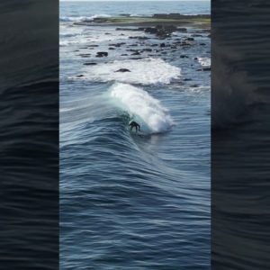 Surfing a Novelty Reef Break! [NEW SERIES]