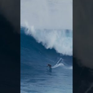Lucas Fink CHARGING at Jaws